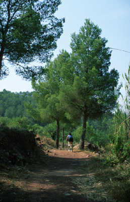 Desde Olocau a Betera