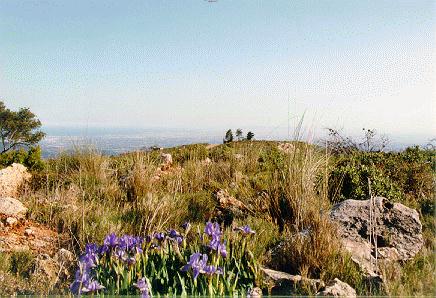 Camino del mirador