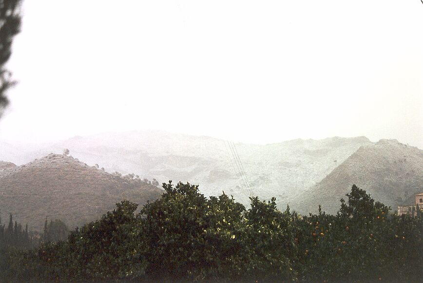 Desde los naranjos del Valle de Lullen en direccion norte