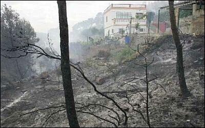 A la puerta de las casas. El fuego llegó a las inmediaciones de las casas. (D. tortajada)